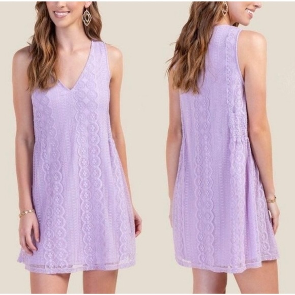 NWT Elegant Lavender Lace Dress - Picture 1 of 8